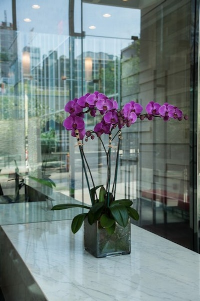 Potted orchid arrangement for a high-end residential building