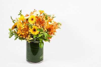 A cheery arrangement of daisies, freesia, anemones, and yellow Thai orchids