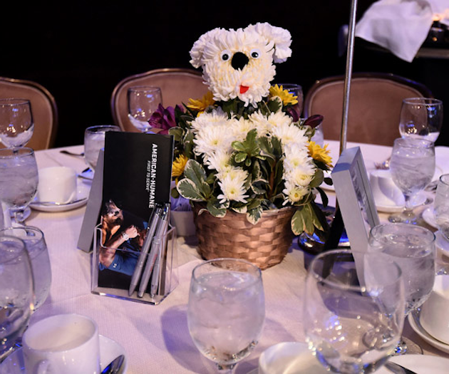 The 2018 American Humane Hero Dog Awards took place September 29 at the Beverly Hilton. In addition to dog adoptions and awards for the country’s bravest canines, the event featured on-theme centerpieces by Sherman Oaks-based floral designers Mulberry Row.