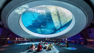 Aquarium – The Deep: Gulf Stream Oculus