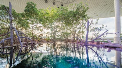 Aquarium – The Vista: Everglades Exhibit