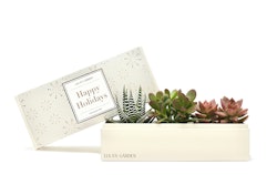 Lula’s Garden, a succulent gifting company, sells eco-friendly plants in a crafted gift box that's designed to serve as a planter. Gardens are available in five sizes, starting at $25 for a medium-sized succulent. Custom sleeve, card, and gift tag options are also available; shipping is available nationwide.