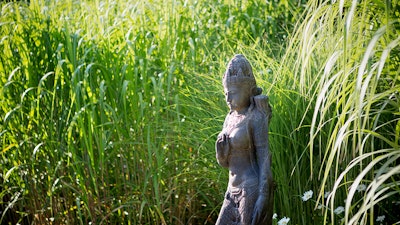 Tara Statue