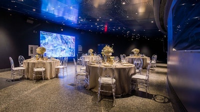 Frost Planetarium Pre-show Reception Area: a unique setting for a dinner or cocktail party.