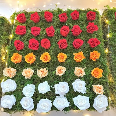 Tray of colorful Eon Flowers (preserved flowers that last 1+ years)