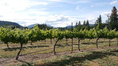 Cathedral Ridge Winery 444b