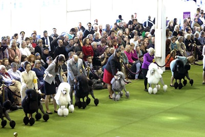 3. Westminster Kennel Club Dog Show