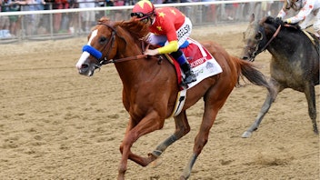 4. Belmont Stakes