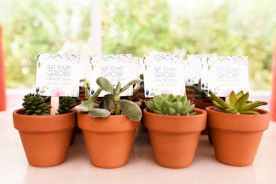 Potted succulents served as party favors.