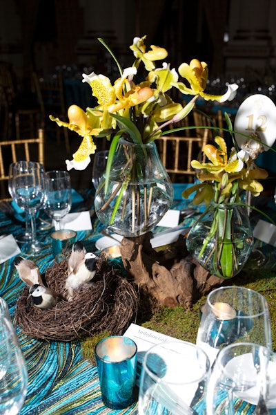 The National Audubon Society’s 2019 Gala