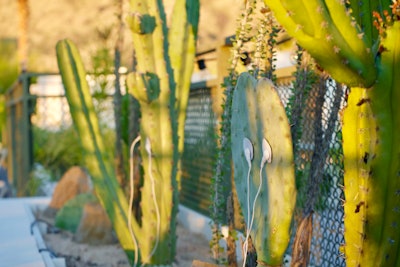 Ace Hotel’s Desert Gold at Coachella