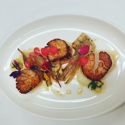 Seared Scallop with Roasted Fennel and Parsnip Puree