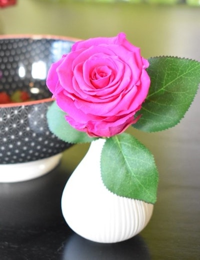 Pink Preserved Rose
