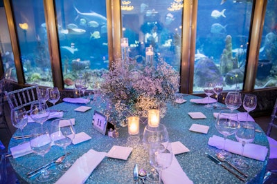 Shedd Aquarium’s 25th Annual Gala