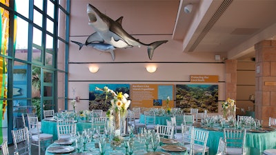 Your guests will enjoy indoor or outdoor aquarium spaces, nearly all feature engaging exhibits.