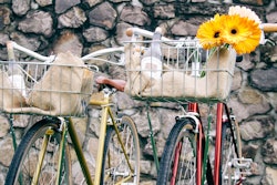 The Lodge at Sonoma recently launched its Sonoma Bike Tour program, created in partnership with Mission Bicycle Company, a boutique bicycle shop in San Francisco. The program features an insider’s guide to spots in Sonoma within biking distance, and the Ultimate Wine Country Bike Tour Package (starting at $344) includes the use of two custom wine-colored bikes made exclusively for the lodge. Plus, guests can go on a scavenger hunt with stops and tasks at participating locations such as tasting the special “Vella” cheese at the Vella Creamery.