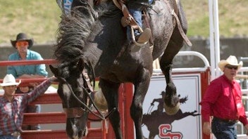 13. Cloverdale Rodeo