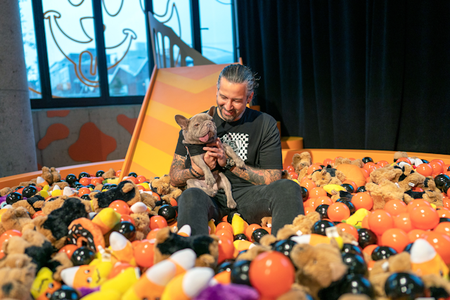 The Dodo's second Best Dog Day Ever runs through October 27 in Brooklyn. The Halloween-theme event has a photo booth where dogs can slide into a pit filled with plastic balls and toys.