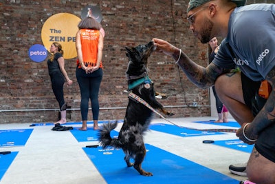 Activities included yoga for humans and their pets.