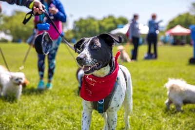 9. PAWS 5K Walk/Run