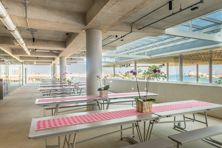 Picnic Terrace