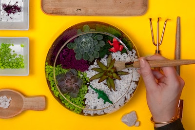 After work projects that don't succ. Create your own desktop terrarium with Plant Nite.