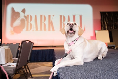 21. Humane Rescue Alliance Bark Ball