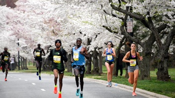 7. Credit Union Cherry Blossom Ten Mile