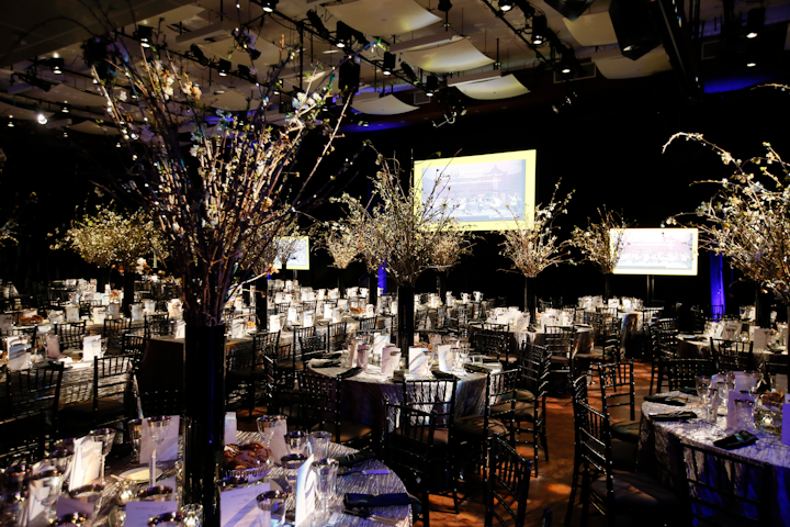 Event Design Ideas from Winter 2020 Benefits, Galas, and Fundraisers ...