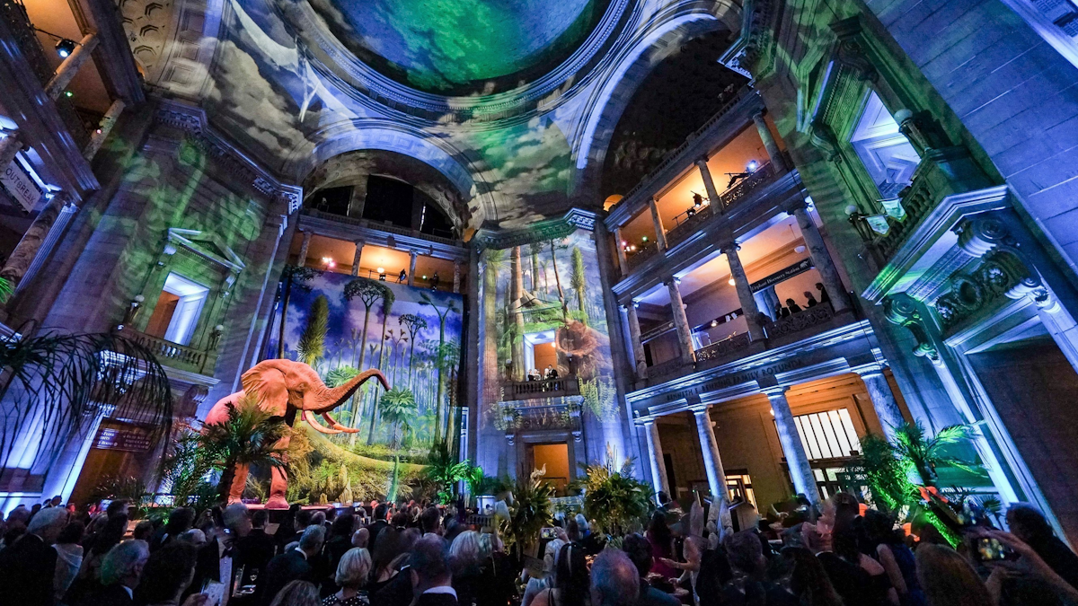 Smithsonian National Museum of Natural History | BizBash
