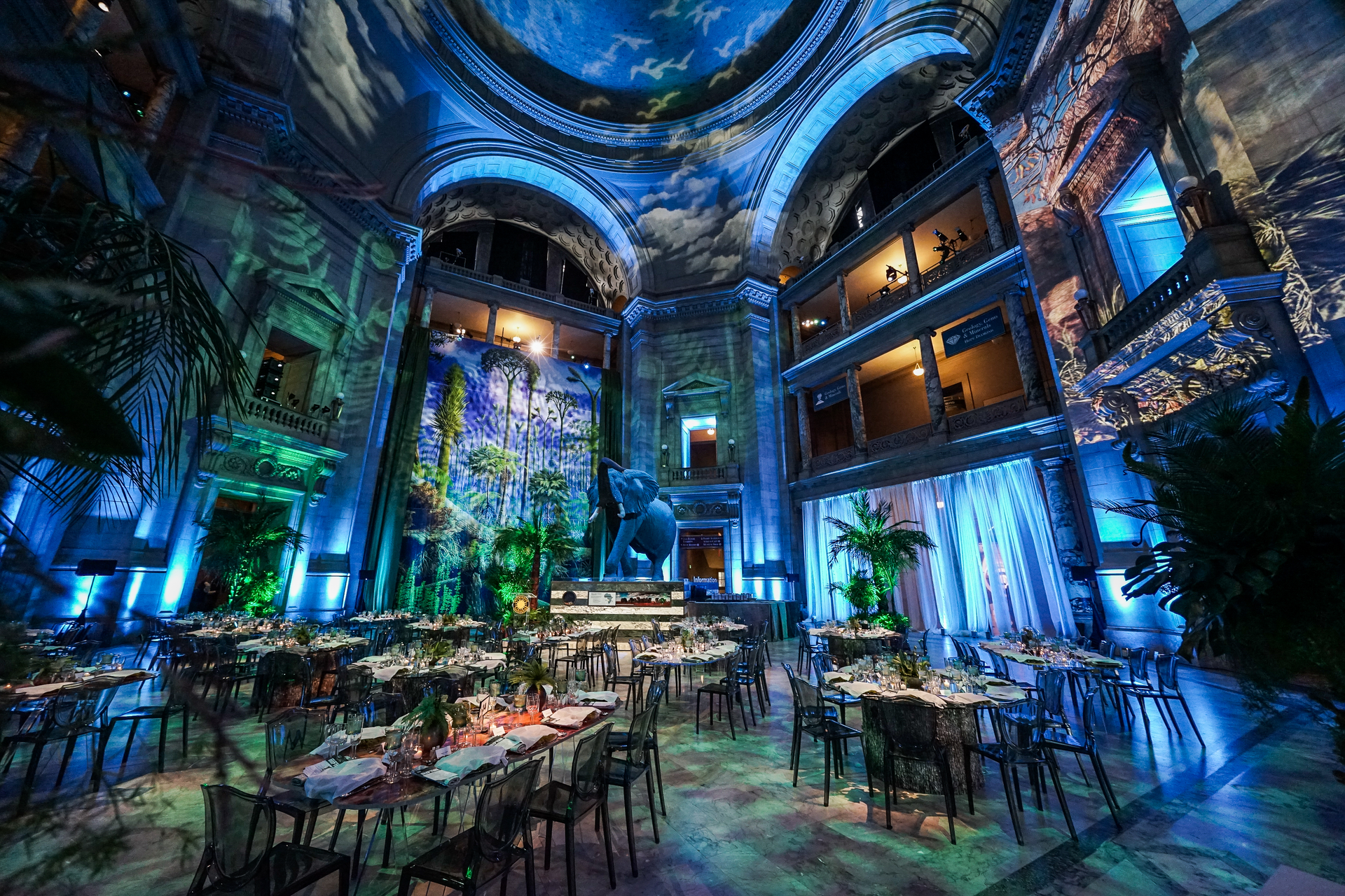 Let the Rotunda dome be the canvas for your next dinner