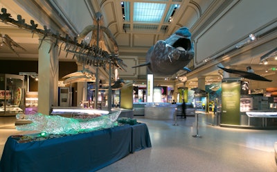 Explore mysteries of the deep seas in the Ocean Hall