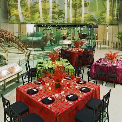 Explore the wild side with a dinner in the Mammal Hall