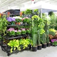 “Visitors to the pop-ups actually thank us for being there, and you can see on their faces just how happy it makes them to see these gardens appear in their neighborhoods,” says Tom Kehoe about Kehoe Designs' Green Market Gardens.