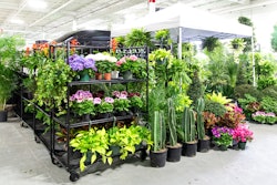 “Visitors to the pop-ups actually thank us for being there, and you can see on their faces just how happy it makes them to see these gardens appear in their neighborhoods,” says Tom Kehoe about Kehoe Designs' Green Market Gardens.