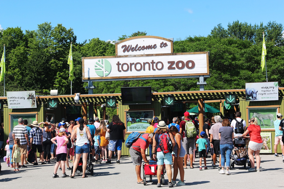 Toronto Event Industry News From Toronto Zoo, Toronto Outdoor Art Fair