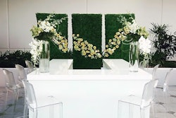 Acrylic Bars with Ghost Barstools and Hedge Wall