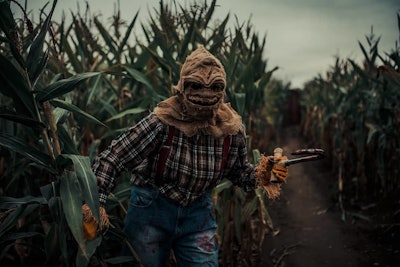 Abbotsford’s Maan Farms Country Experience & Estate Winery's “Haunted Corn Maze” runs from Sept. 25 to Nov. 1.