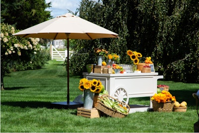 Stark centered the private event's design around a local farmer's market bounty, with baskets of fresh fruits and vegetables, and blooming sunflowers to boot.