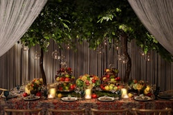 'Our design incorporates a fresh mix of color and texture to create an intimate environment that is warm yet sophisticated,' said Ty Kuppig, the founder and creative director of TYGER | Event Design + Production.