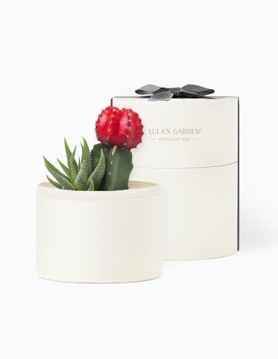 Primed for client or employee gifts thanks to the ability to include brand logos, succulent boxes from Lula's Garden make for an eco-friendly–and desk-appropriate—WFH present. The Holiday Collection ($29-$62) includes choices for holiday, Christmas, and Hanukkah.
