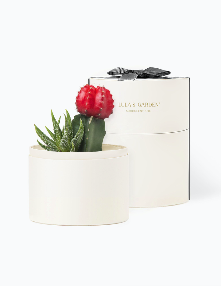 Gift Ideas for Work-From-Home Employees and Clients | BizBash