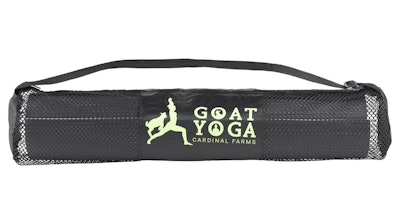 Yoga Mat $25+