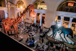 As home to the world’s largest dinosaur, we have plenty of space to host your event safely.