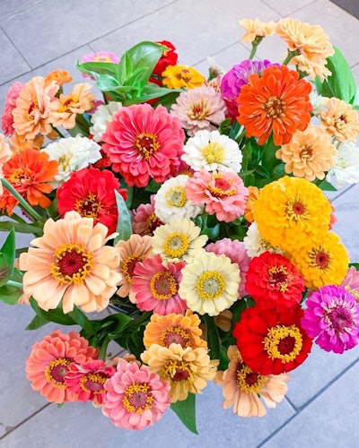 We love using zinnias, interesting sunflowers and, of course, dahlias as local flowers. Lots of saturated colors and textures. This truly represents the best of our local area during a hot, bountiful time of the year.” —Tobie Whitman, owner of Little Acre Flowers in Washington, D.C.