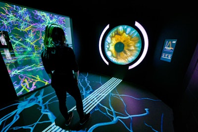 Visitors are able to walk through a virtual neuron—the microscopic messengers in the brain managing information transfer and processing—and trace the evolution of scientists’ understanding of this specialized cell.