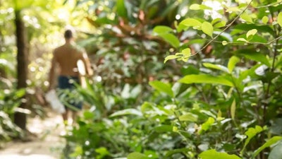 Costarica Wellness