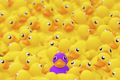Bigstock Unique Purple Toy Duck Among M 287373658