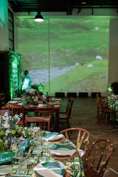 Projections with grazing sheep on the walls of The Showroom added to the illusion of being in the Irish countryside.
