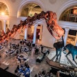 Field Museum Biz Bash Article